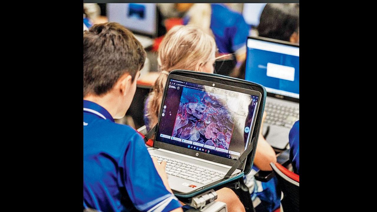 તસવીર સૌજન્ય : સોશ્યલ મીડિયા