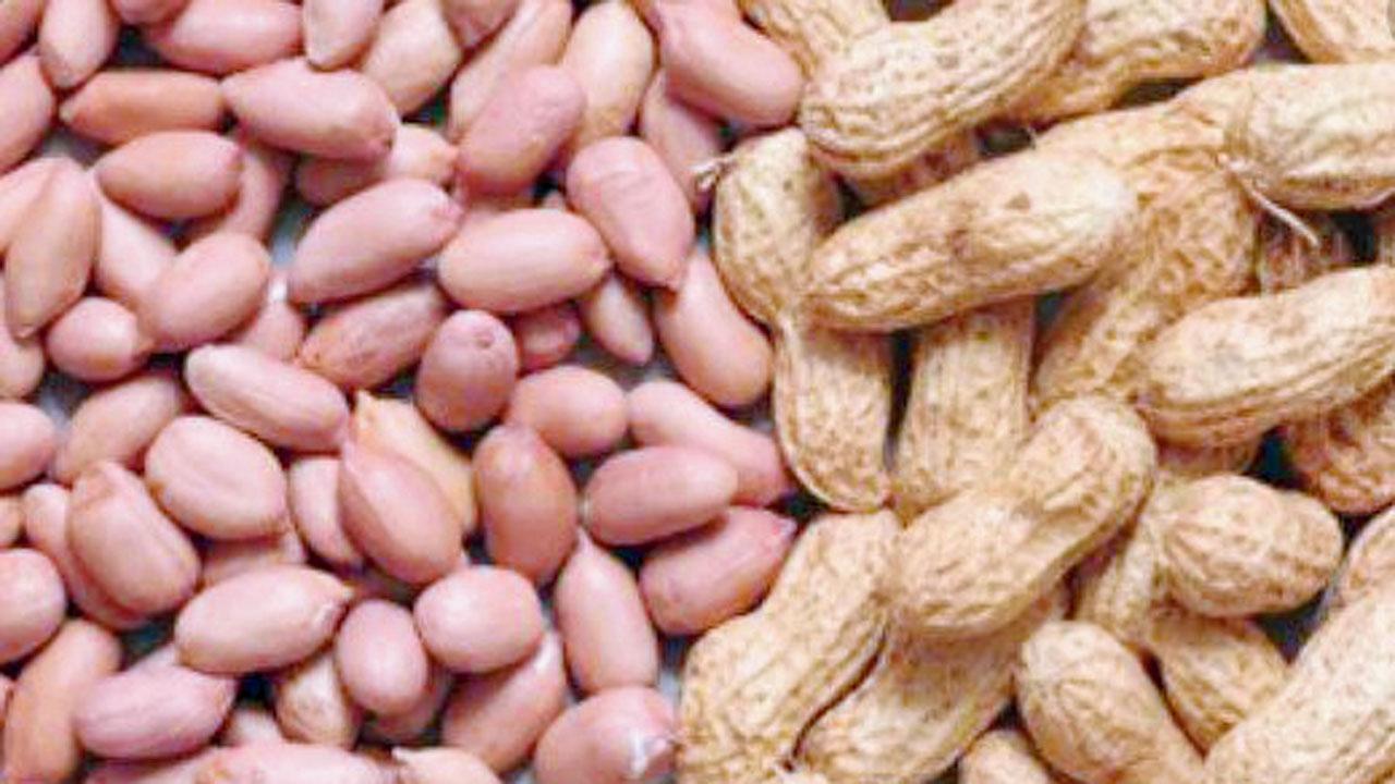 પ્રતીકાત્મક તસવીર