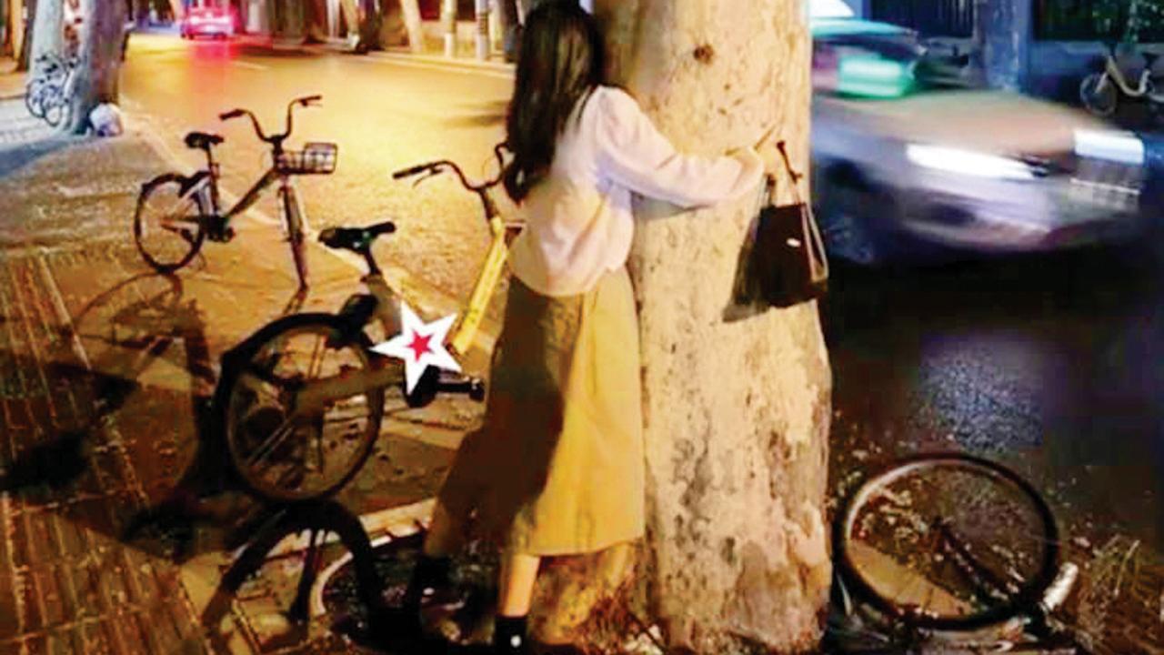 શાંઘાઈની એક મહિલા કિશિશિકી વૃક્ષને બાથ ભીડીને ઊભી રહી છે,