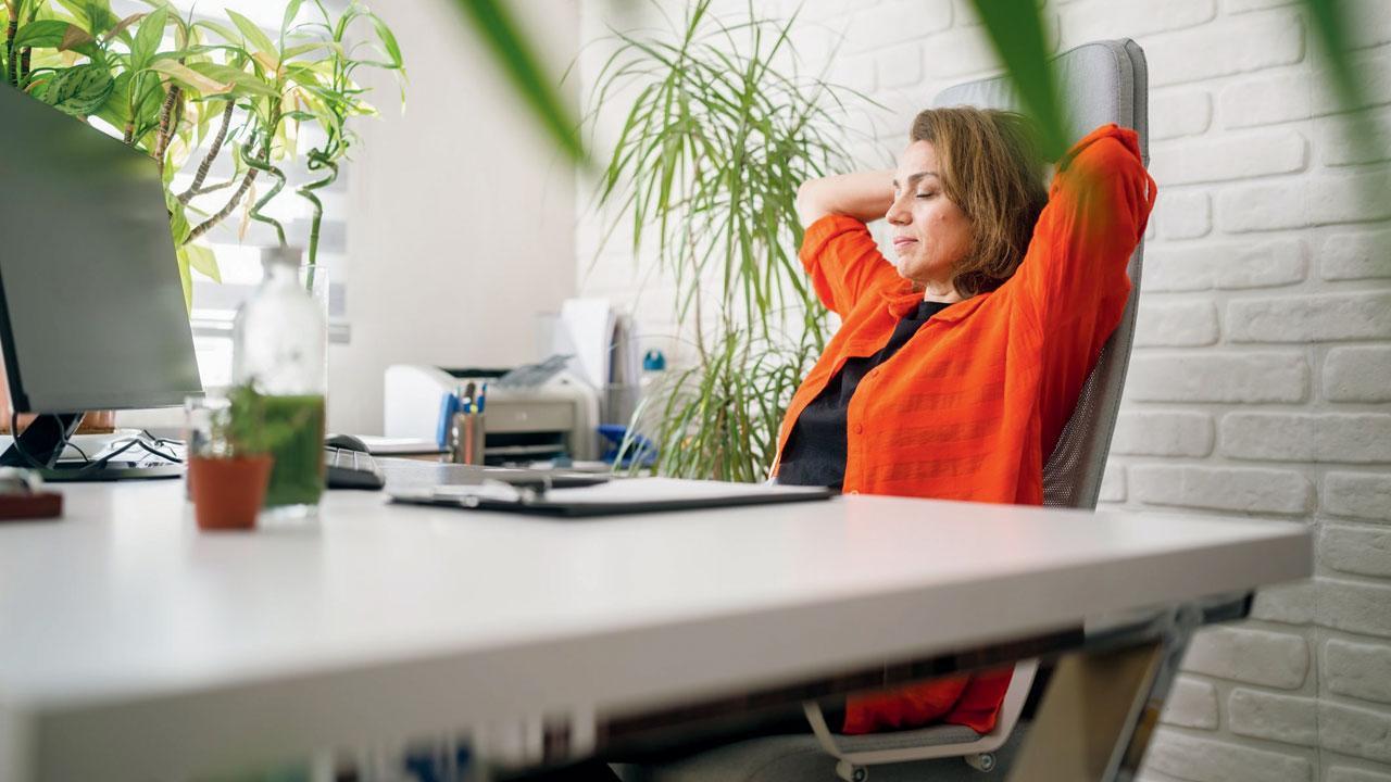 પ્રતીકાત્મક તસવીર