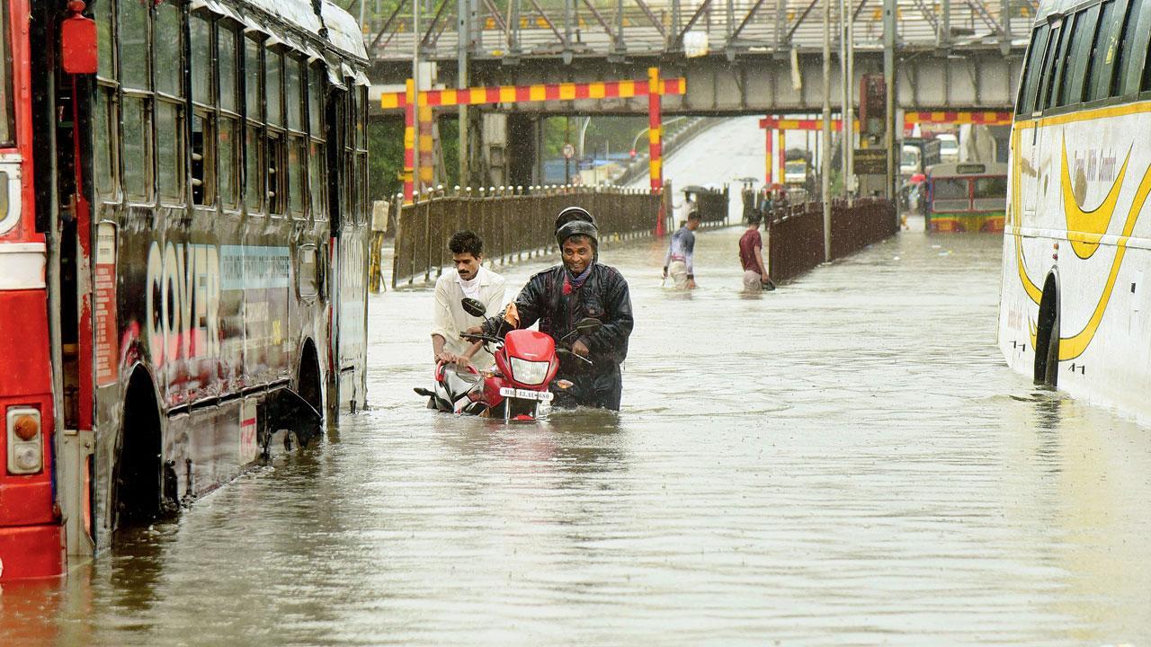 ફાઇલ તસવીર