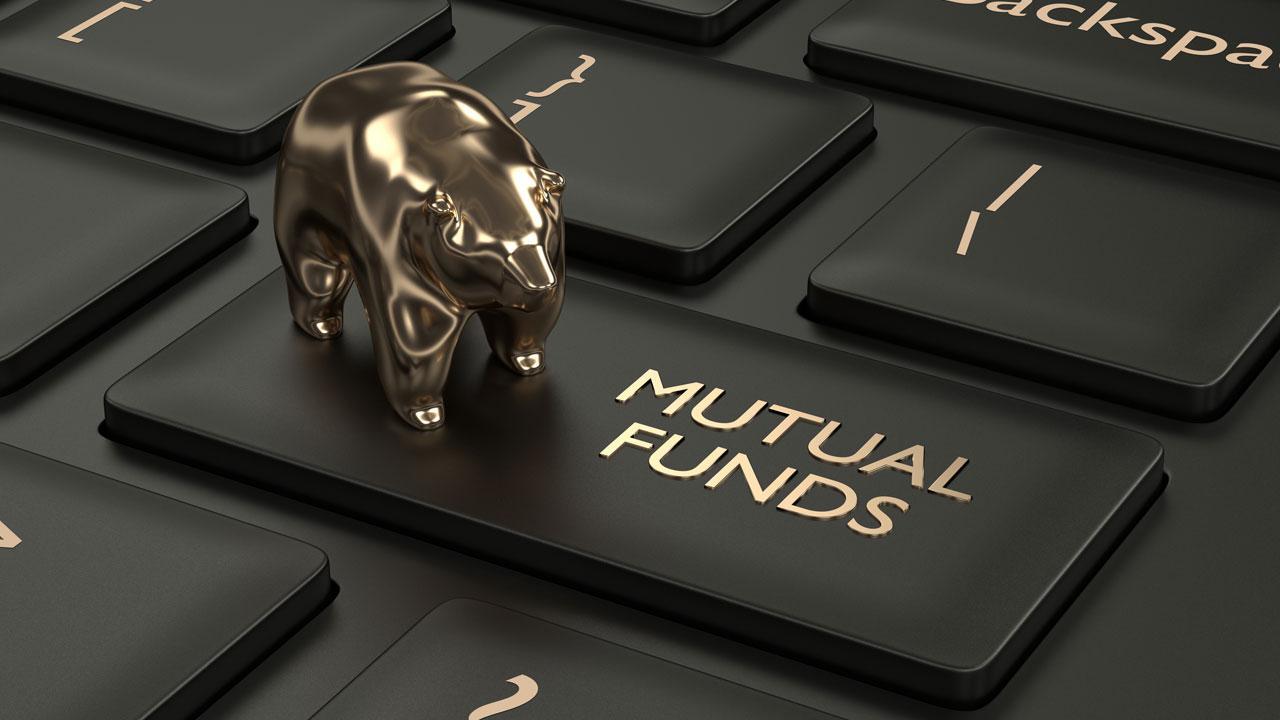 પ્રતીકાત્મક તસવીર (તસવીર સૌજન્ય : આઇસ્ટૉક)