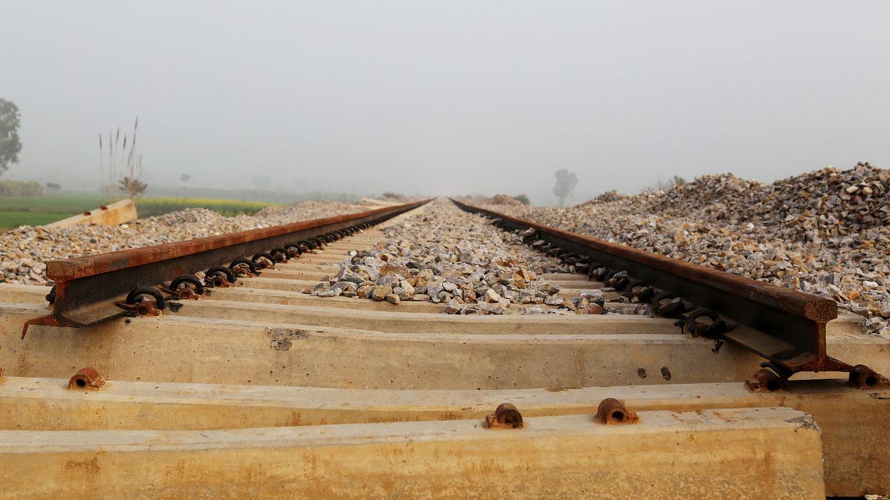 પ્રતીકાત્મક તસવીર (તસવીર સૌજન્ય : આઇસ્ટૉક)