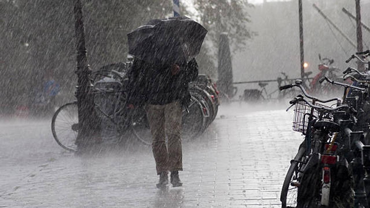 પ્રતીકાત્મક ફાઇલ તસવીર