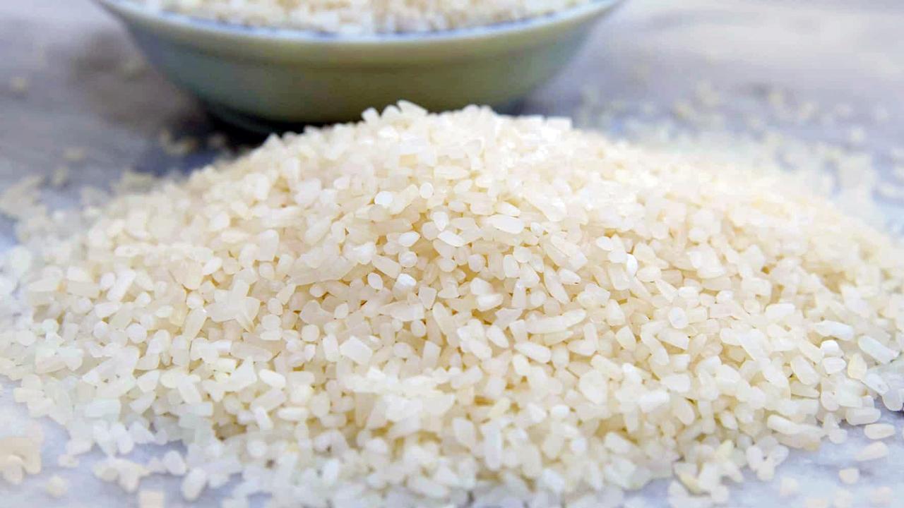 પ્રતીકાત્મક ફાઇલ તસવીર