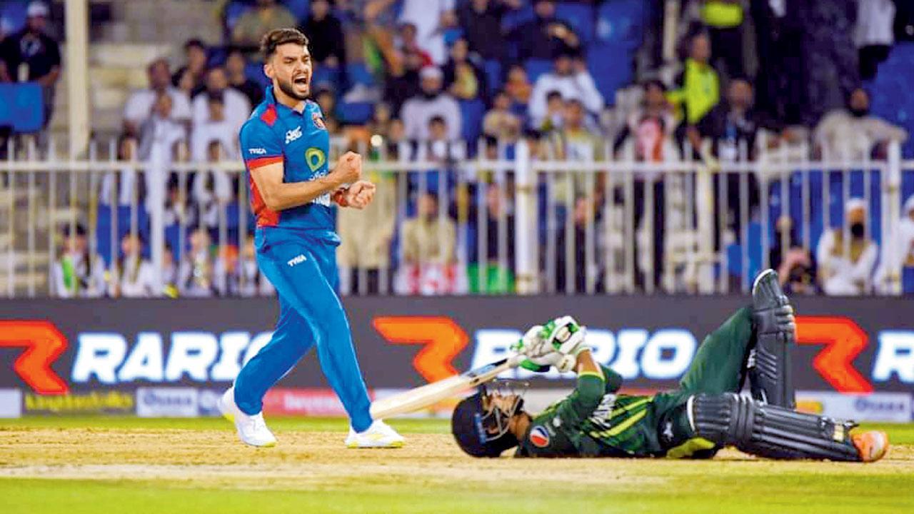 શારજાહમાં સૈમ અયુબની વિકેટની ઉજવણી કરતો બોલર નાવીન ઉલ-હક.