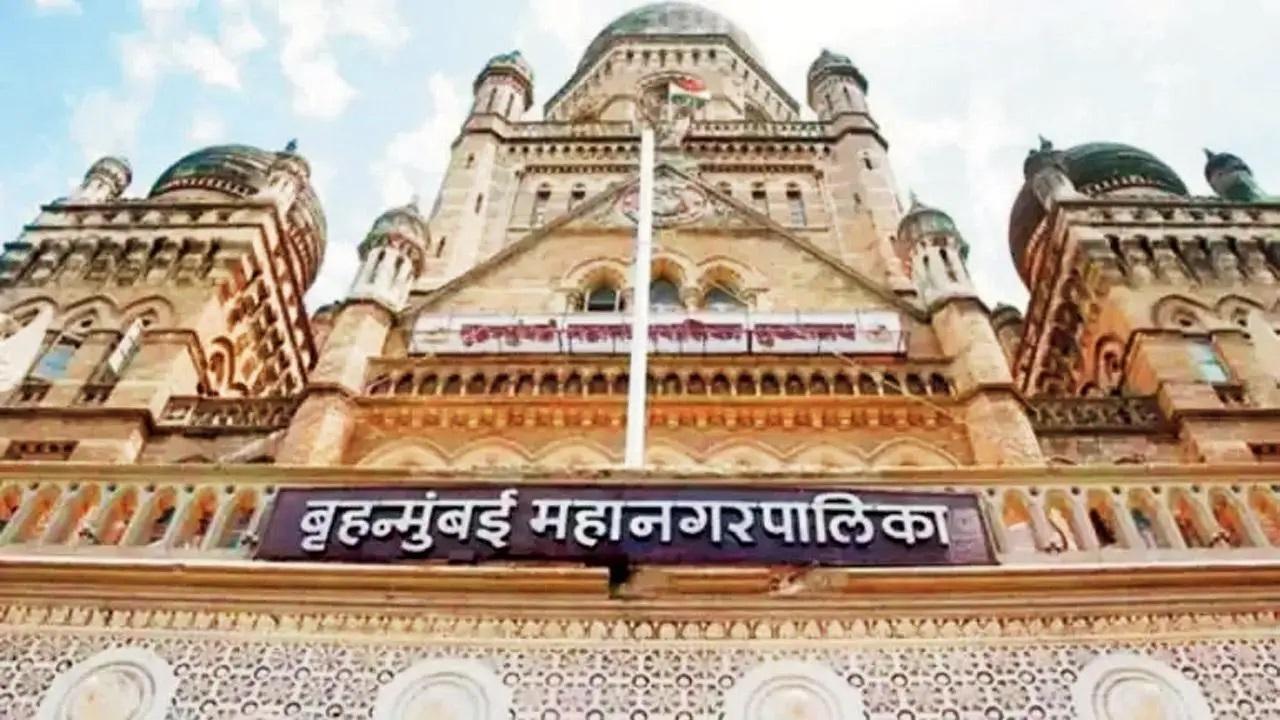 પ્રતીકાત્મક તસવીર