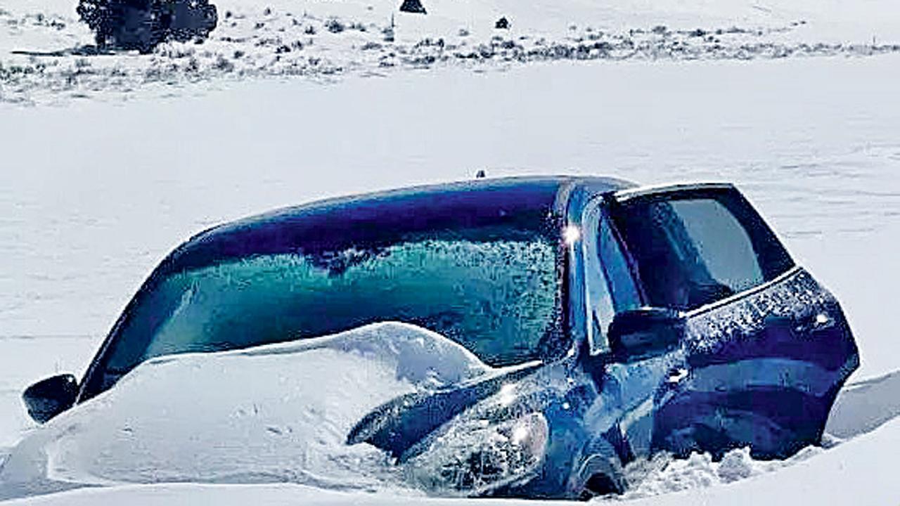 તસવીર સૌજન્ય : સોશ્યલ મીડિયા