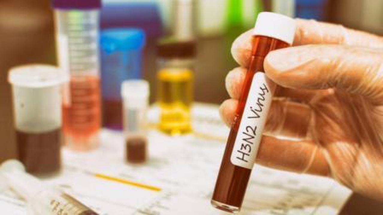 પ્રતીકાત્મક તસવીર