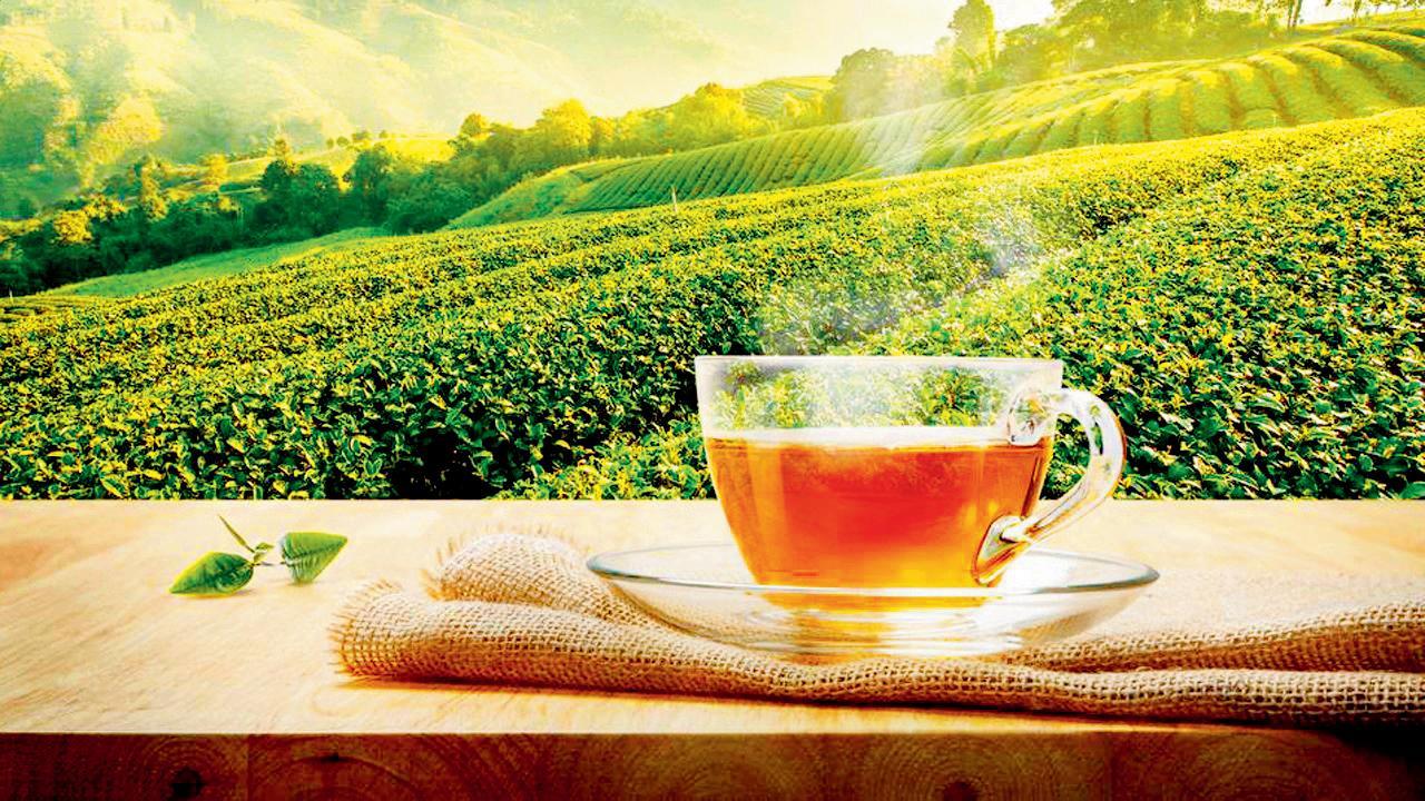 પ્રતીકાત્મક તસવીર