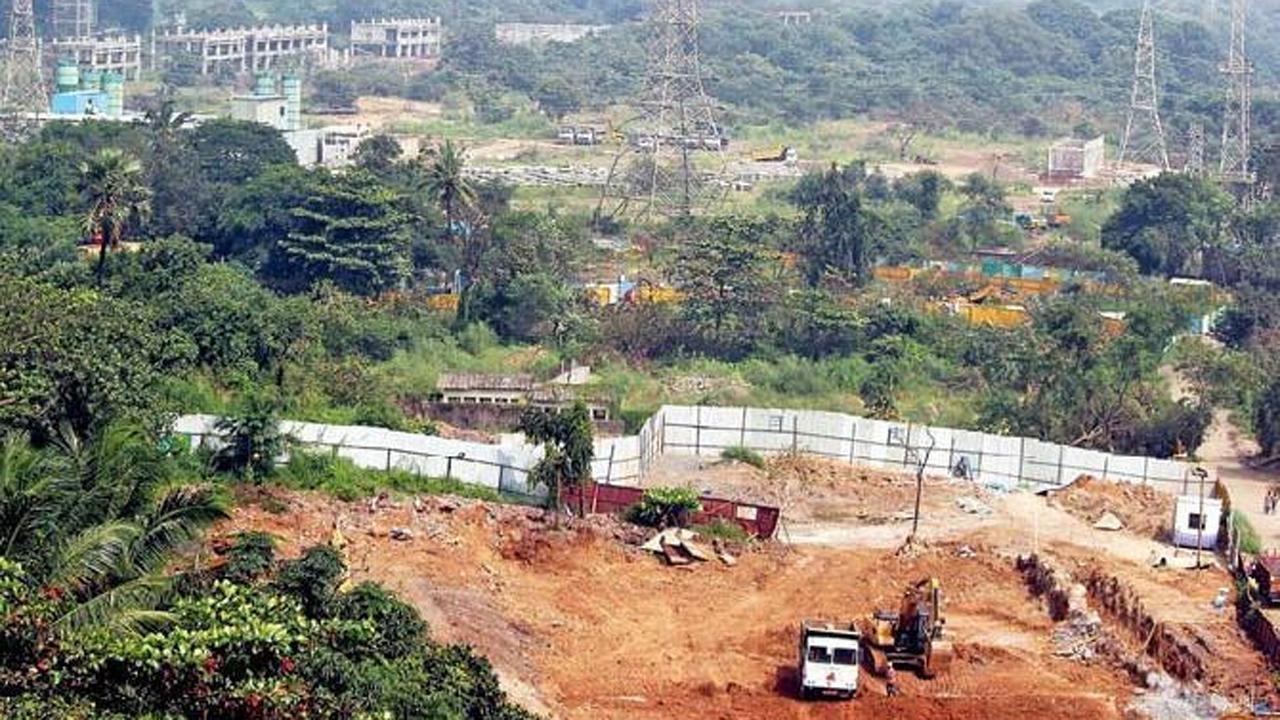 ફાઇલ તસવીર