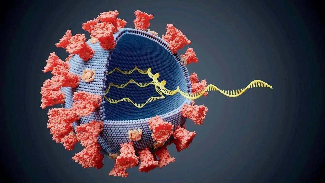 પ્રતીકાત્મક તસવીર