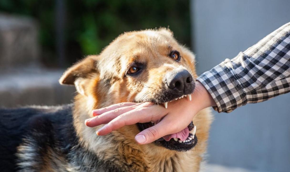 પ્રતીકાત્મક તસવીર (તસવીર: આઈસ્ટોક)