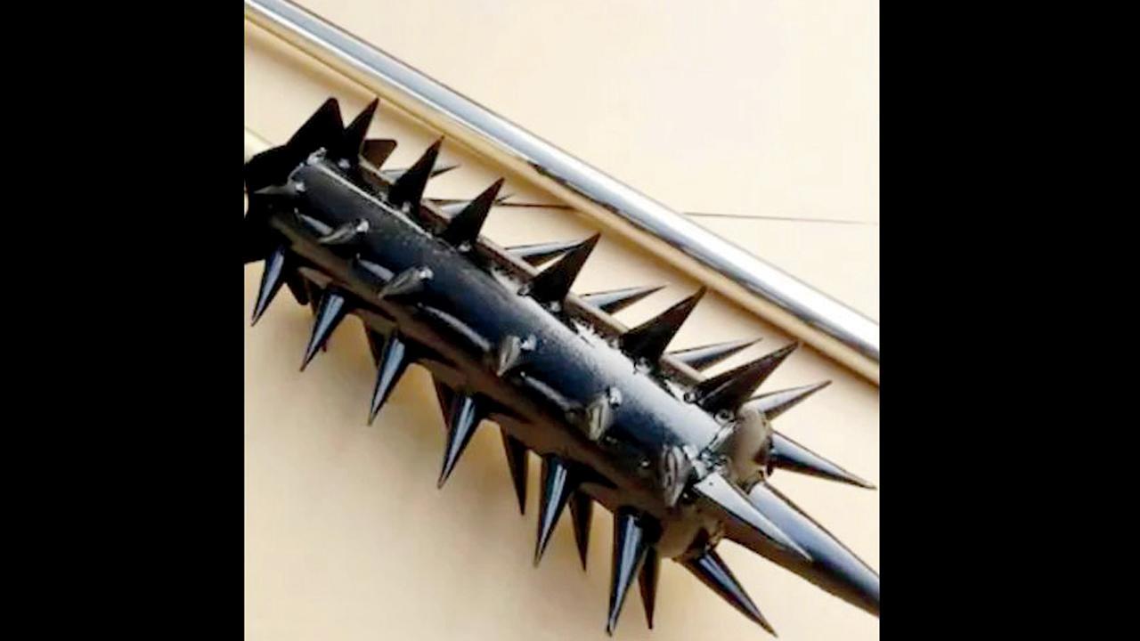 ચીનની મિલિટરી પાસે રહેલું ધારદાર હથિયાર.