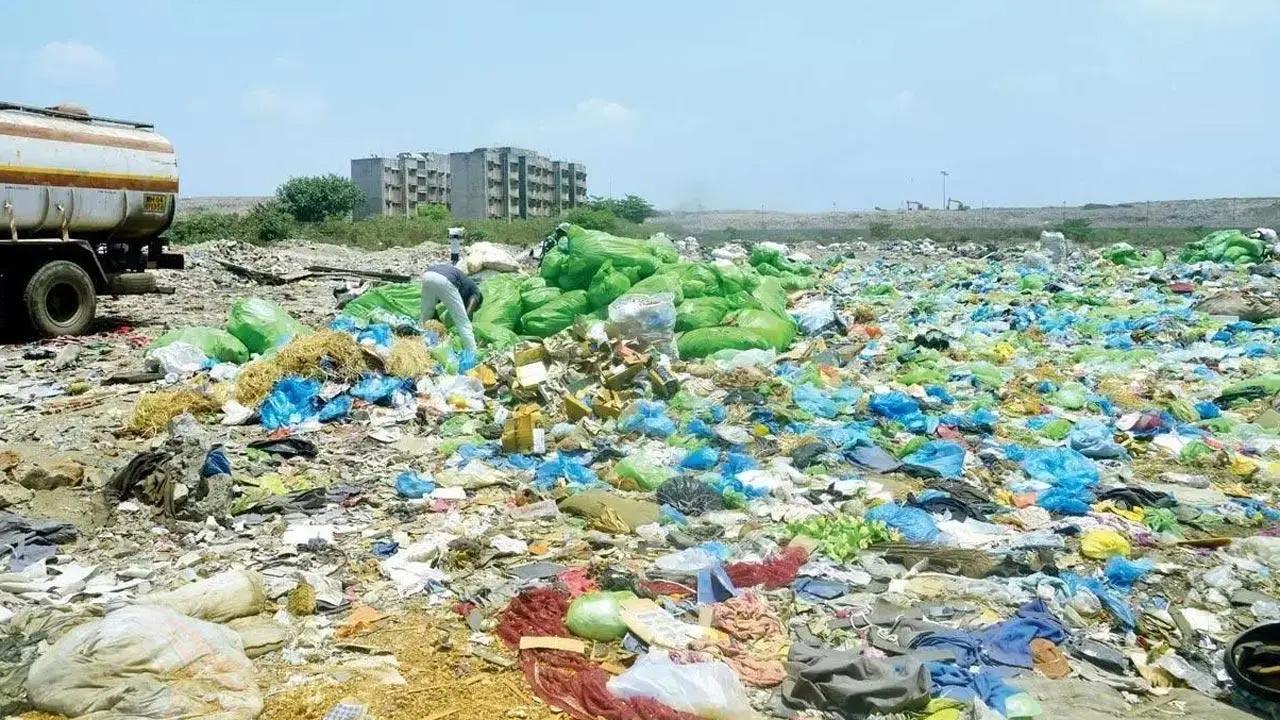 પ્રતીકાત્મક તસવીર