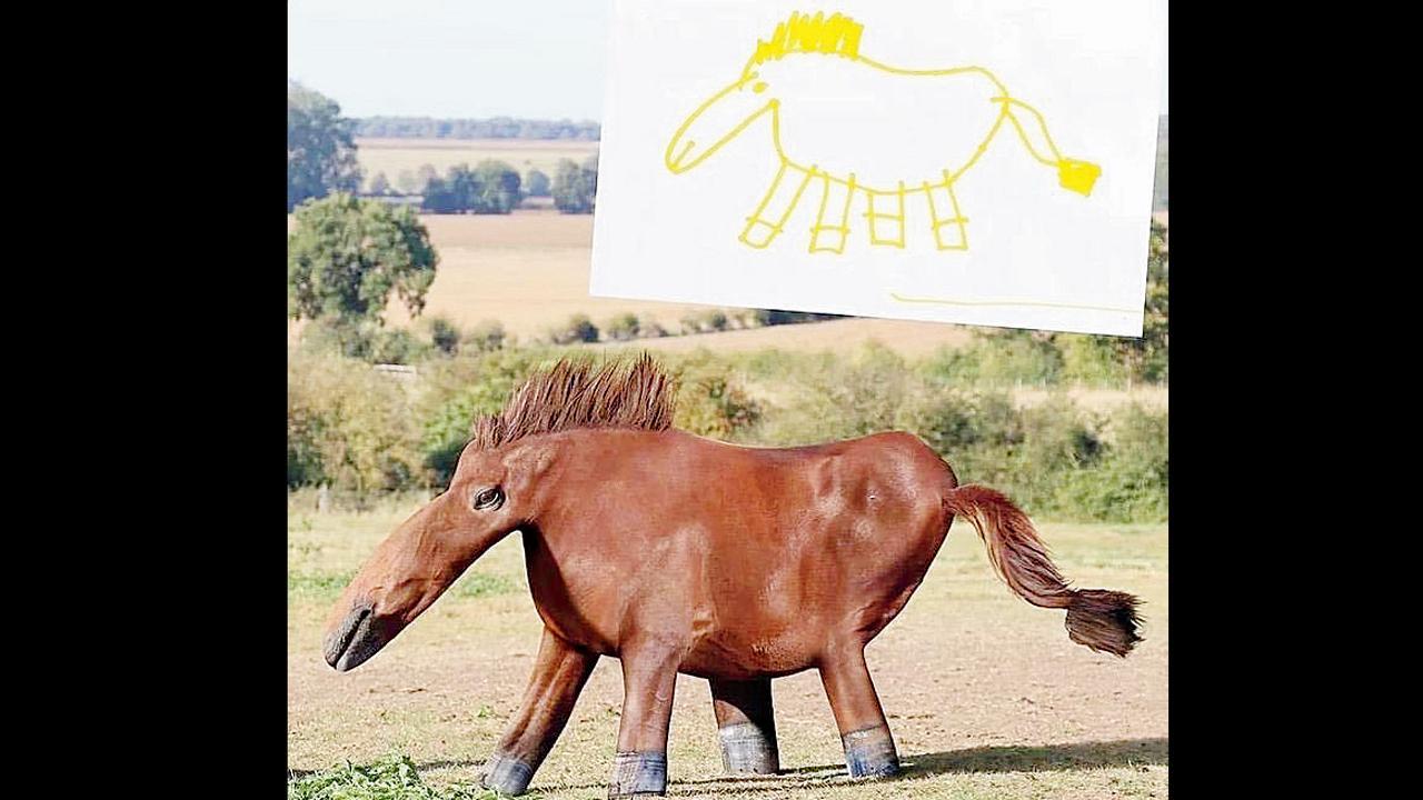 તસવીર સૌજન્ય : સોશ્યલ મીડિયા