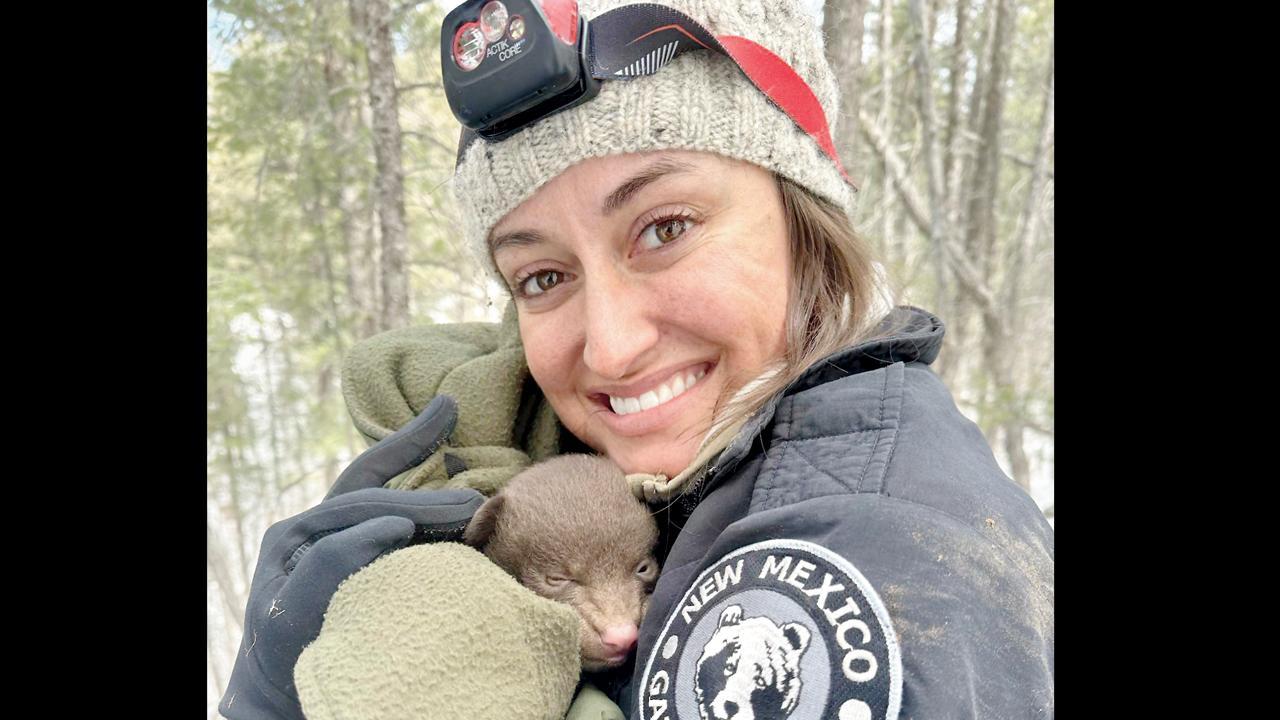 જોઈએ છે પ્રોફેશનલ બેઅર હગર્સ