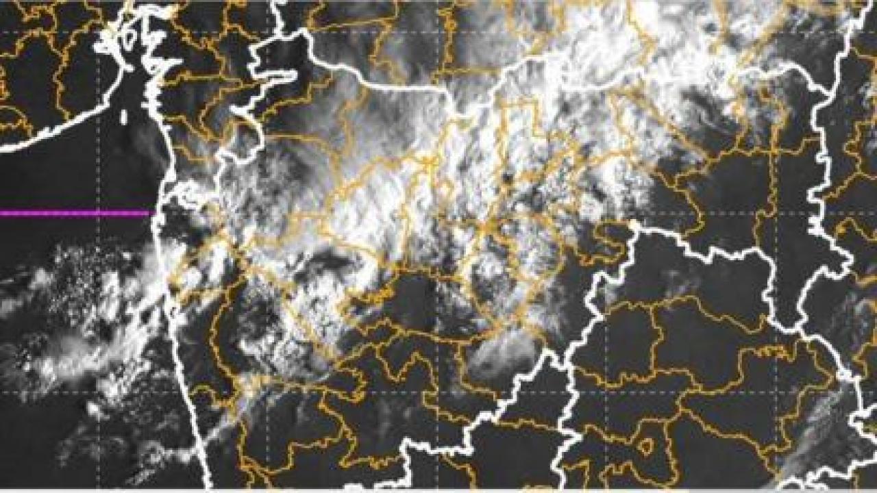 પ્રતીકાત્મક તસવીર