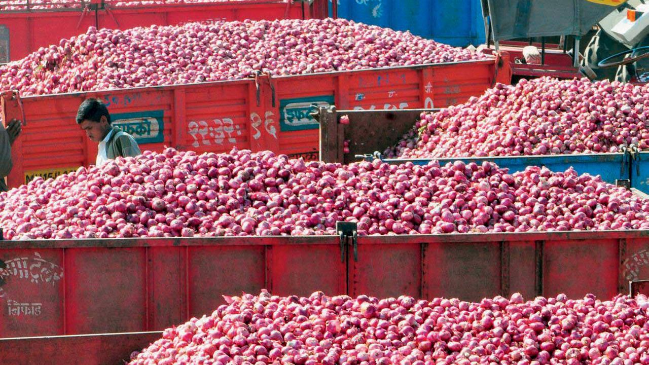 પ્રતિકાત્મક ફાઇલ તસવીર