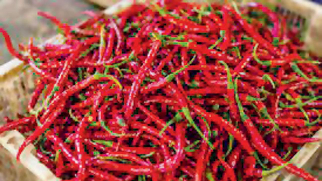 પ્રતીકાત્મક તસવીર