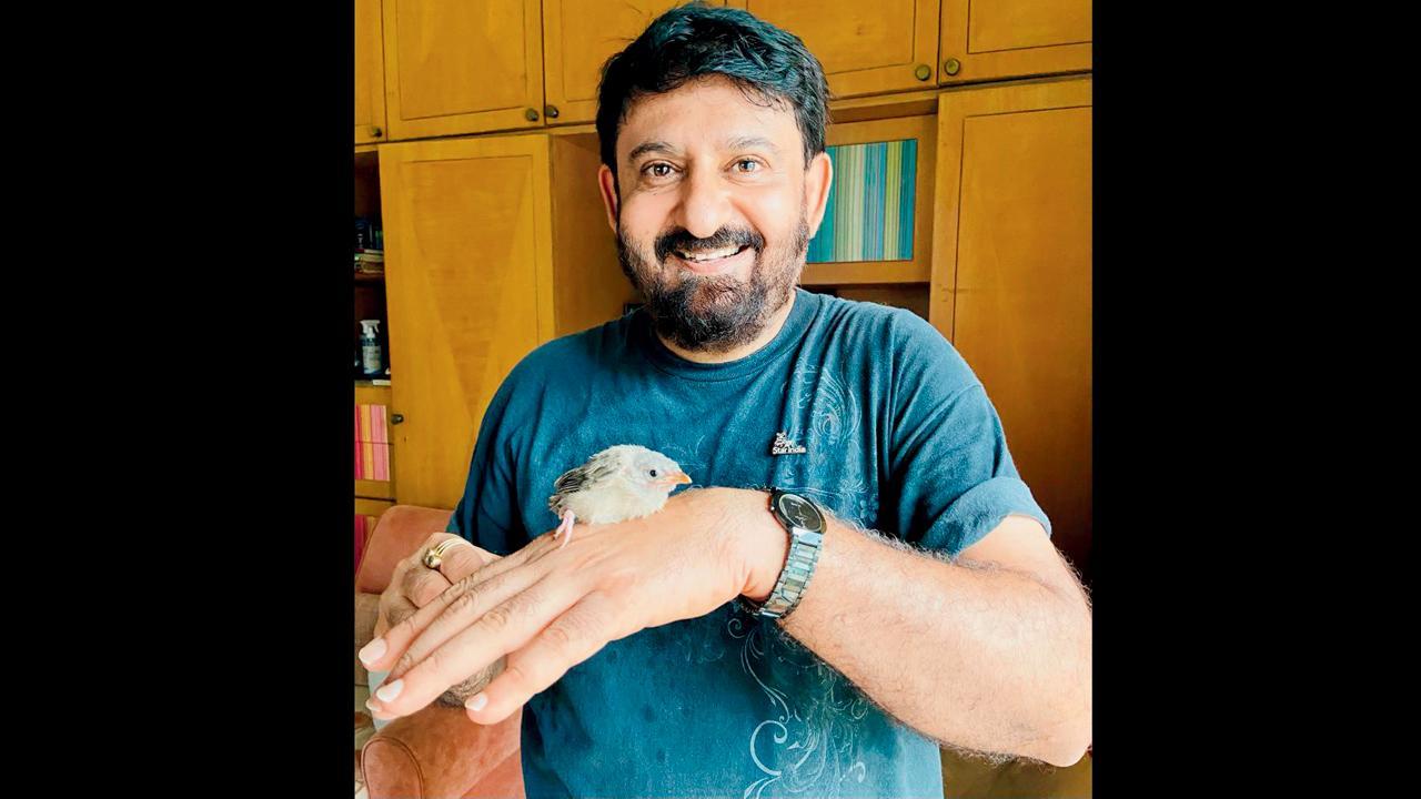 ચકલીના બચ્ચા સાથે તનુજ દેસાઈ.