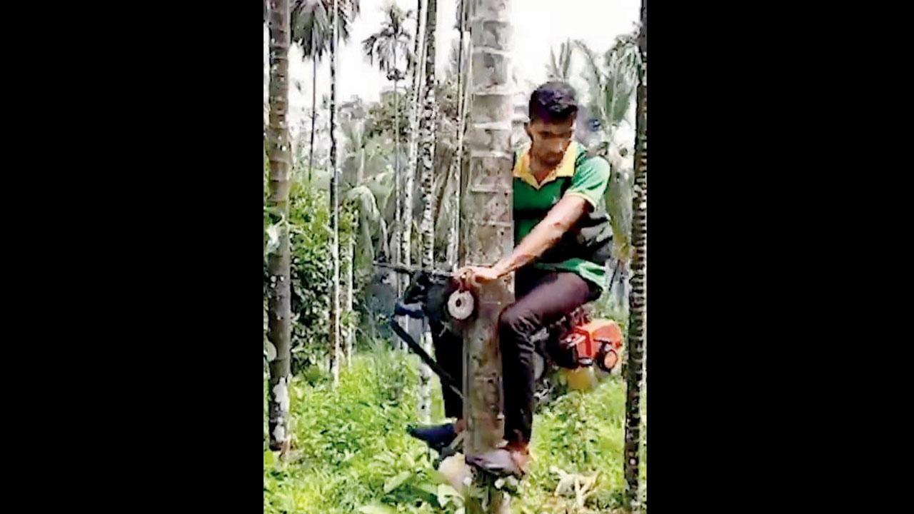 હવે ઝાડ પર ચડવા માટે પણ સ્કૂટર આવ્યું