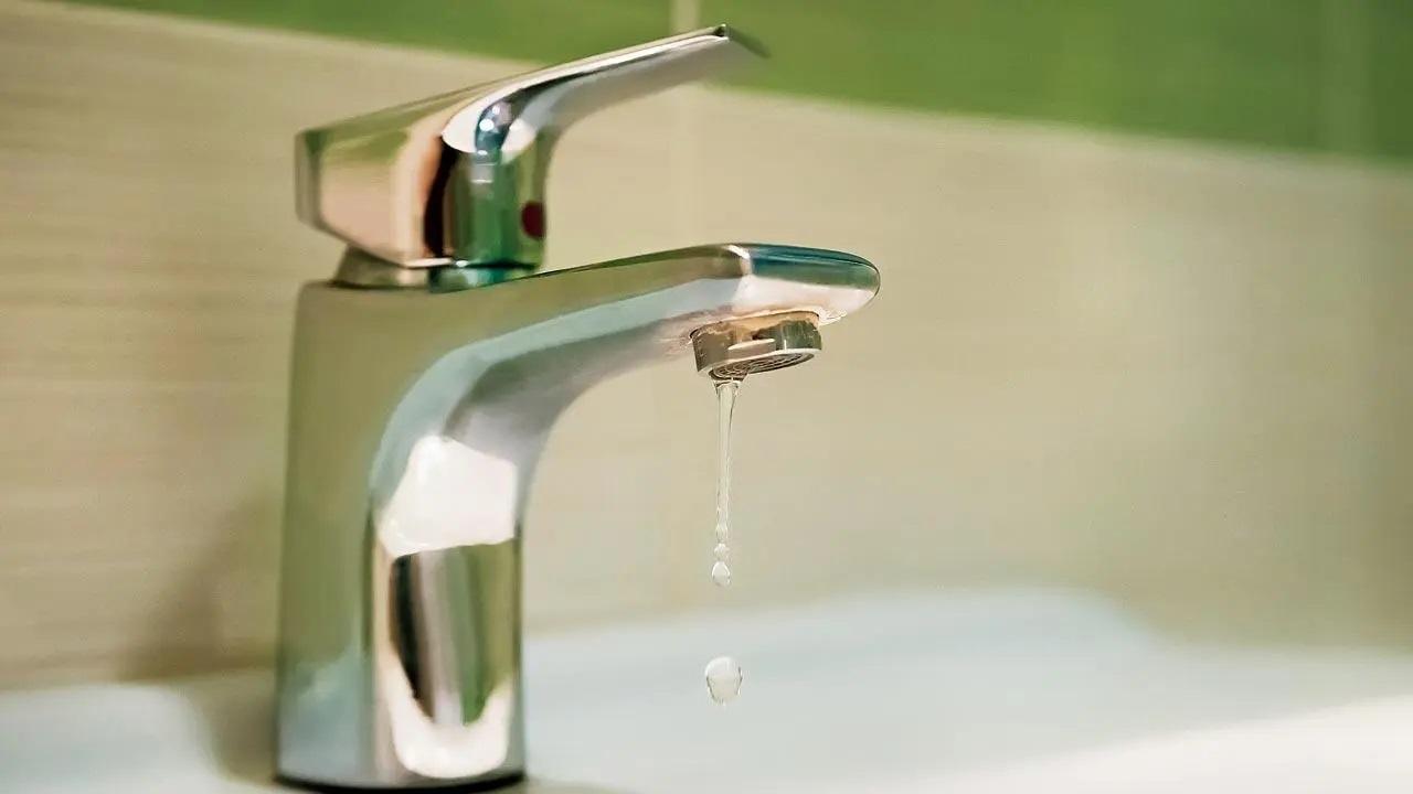 પ્રતીકાત્મક તસવીર