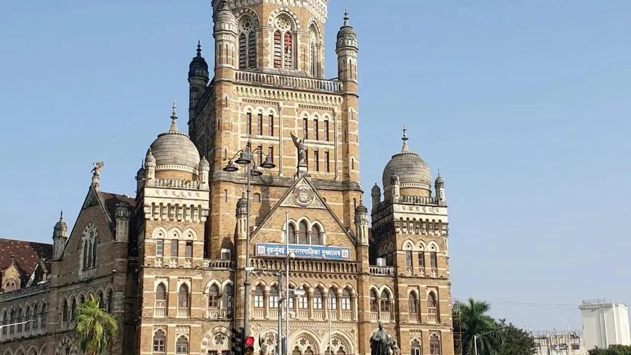 પ્રતીકાત્મક તસવીર