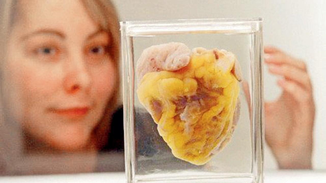 જેનિફર સટન