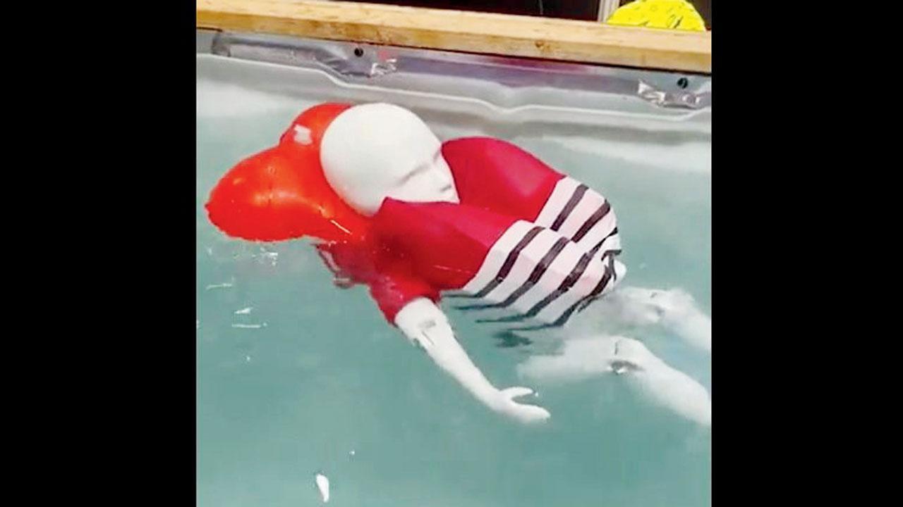 તસવીર સૌજન્ય : સોશ્યલ મીડિયા