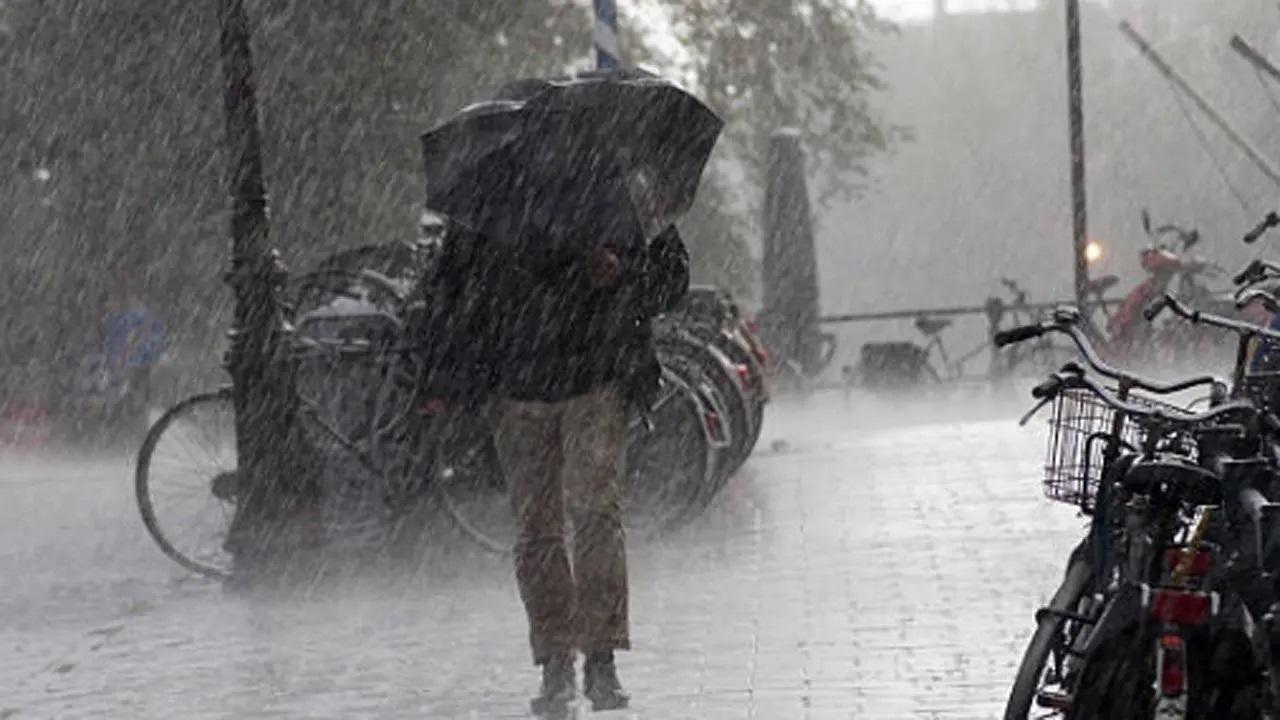 પ્રતીકાત્મક તસવીર