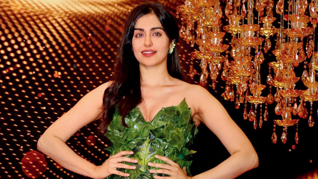 ફાઇલ તસવીર