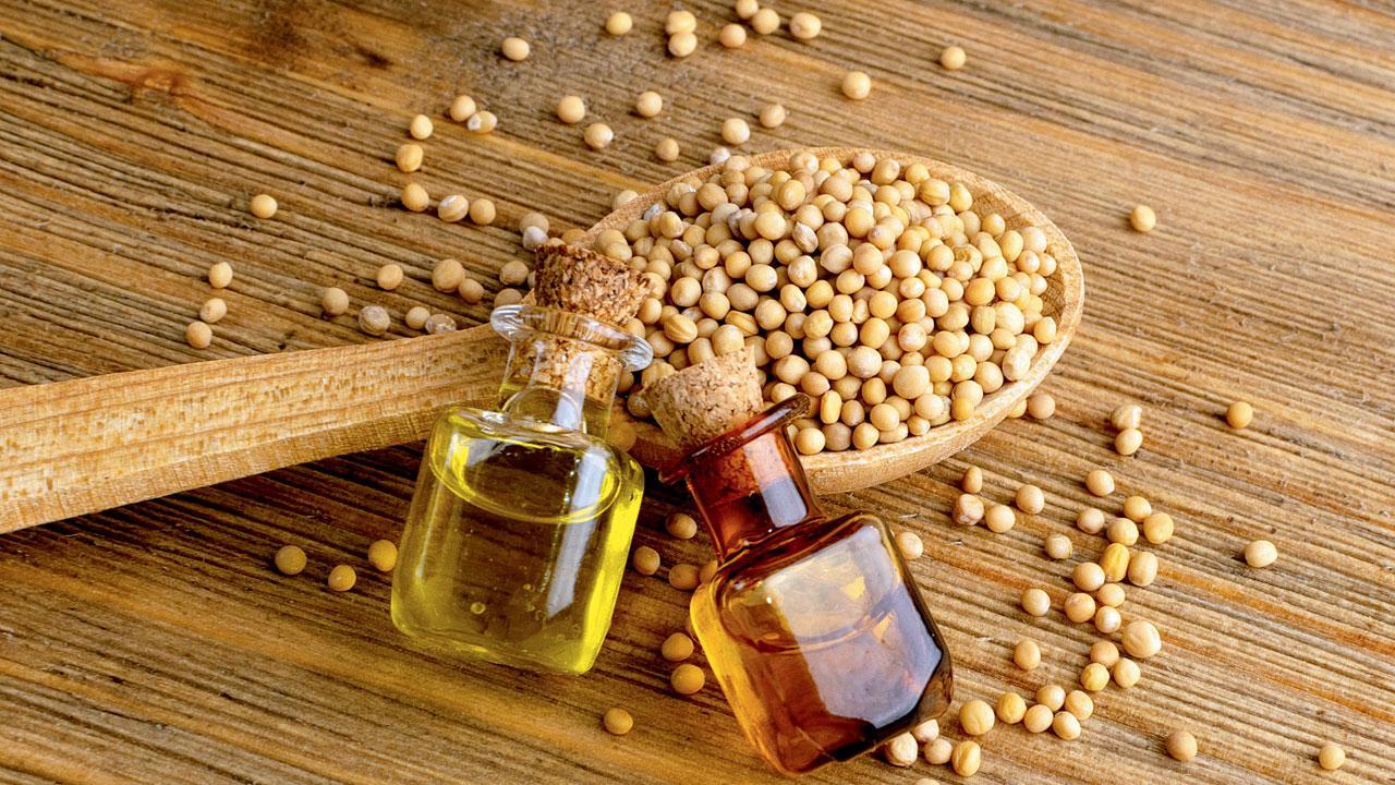 પ્રતીકાત્મક તસવીર