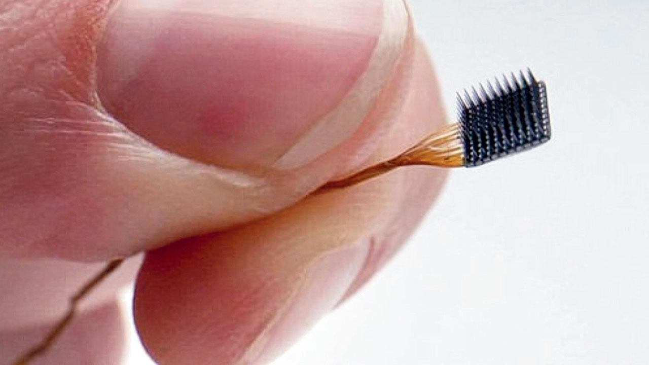 તસવીર સૌજન્ય : સોશ્યલ મીડિયા