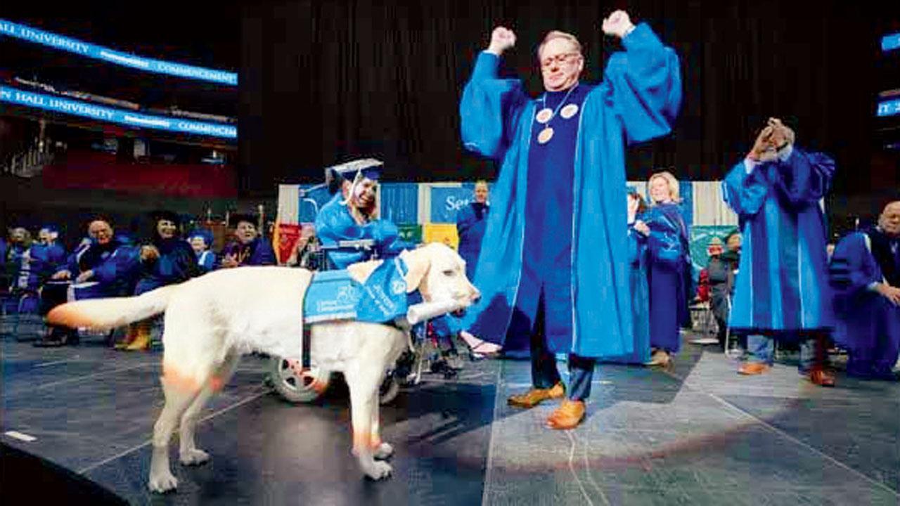 તસવીર સૌજન્ય : સોશ્યલ મીડિયા