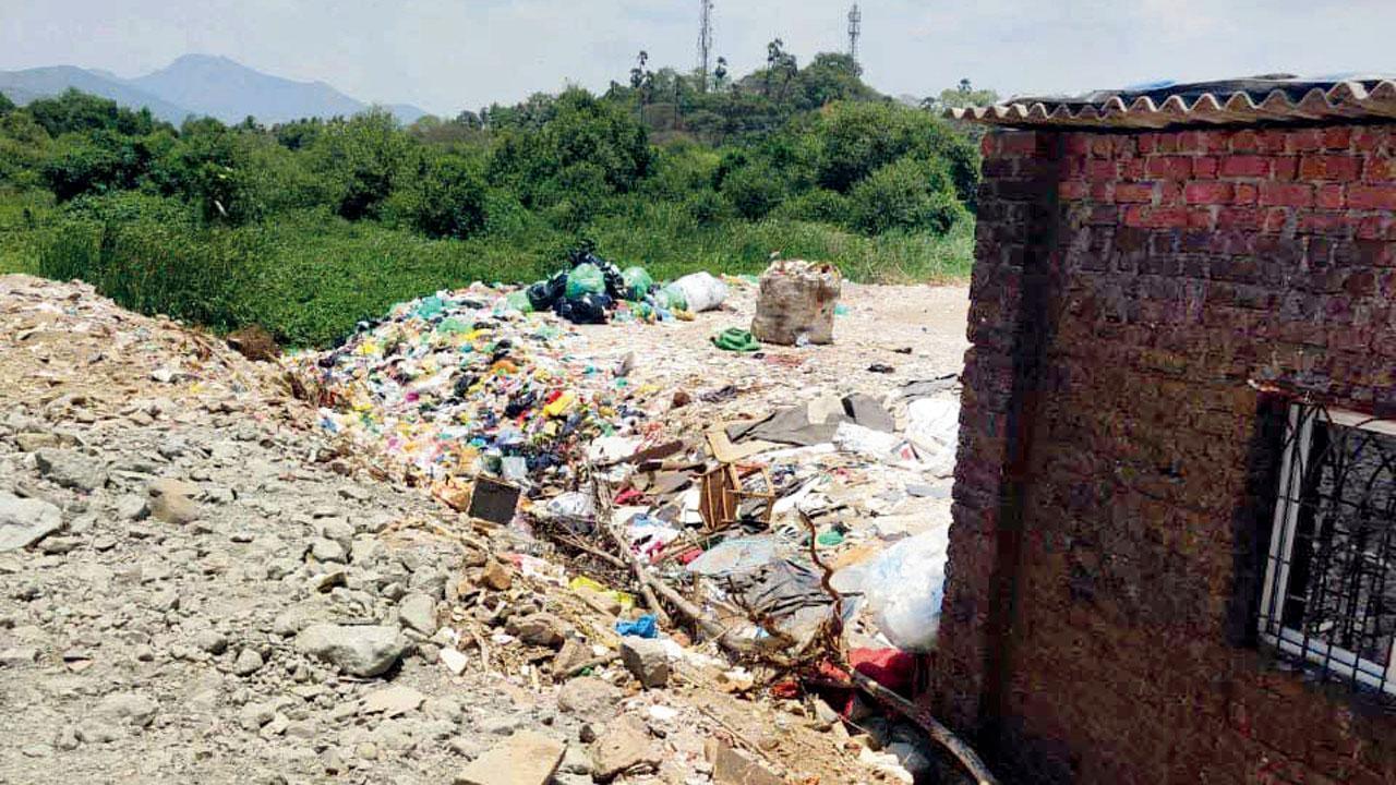 ફાઇલ તસવીર