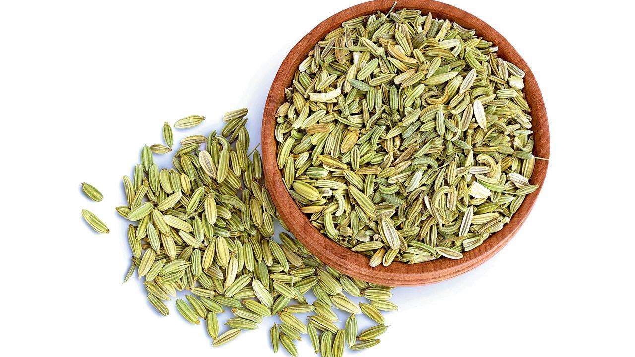 પ્રતીકાત્મક તસવીર