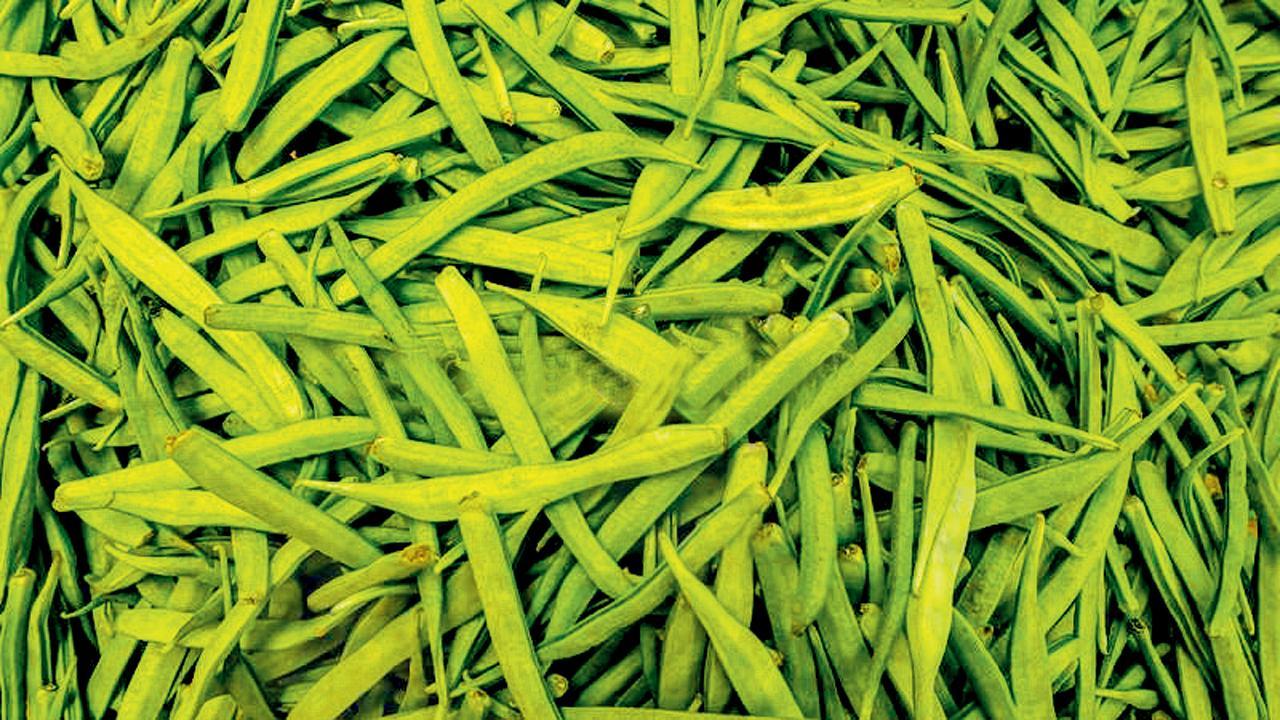 પ્રતીકાત્મક તસવીર