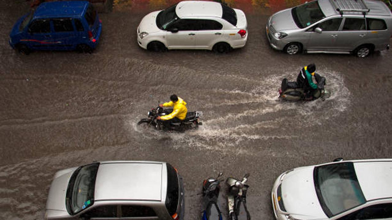 પ્રતીકાત્મક તસવીર (સૌજન્ય આઇસ્ટૉક)