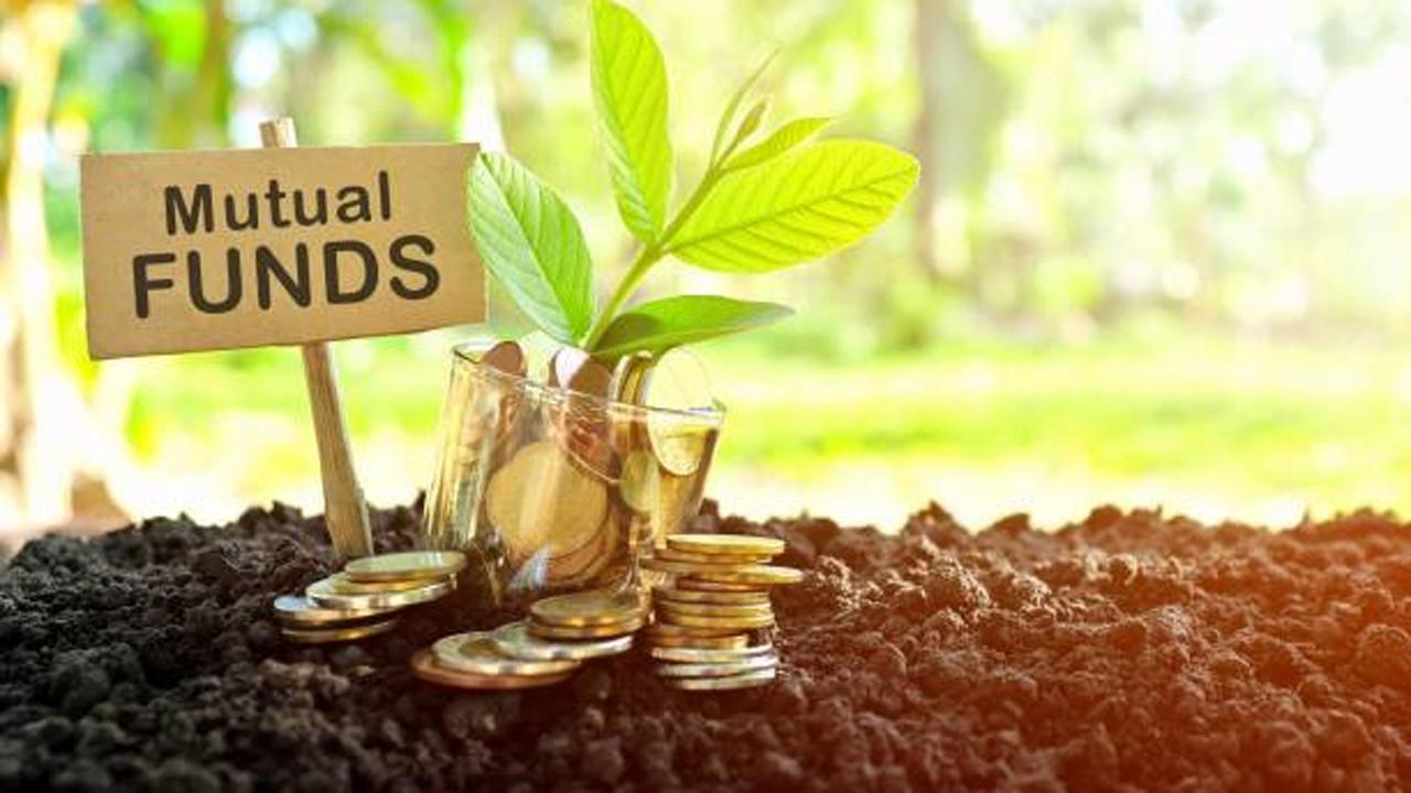 પ્રતીકાત્મક તસવીર (સૌજન્ય આઇસ્ટૉક)