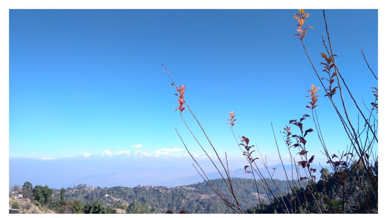 મુક્તેશ્વરની રોડ ટ્રિપ તમે ક્યારે પ્લાન કરો છો? - તસવીર - ધર્મિષ્ઠા પટેલ