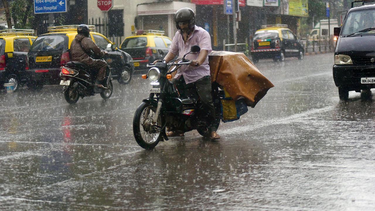 ફાઇલ તસવીર