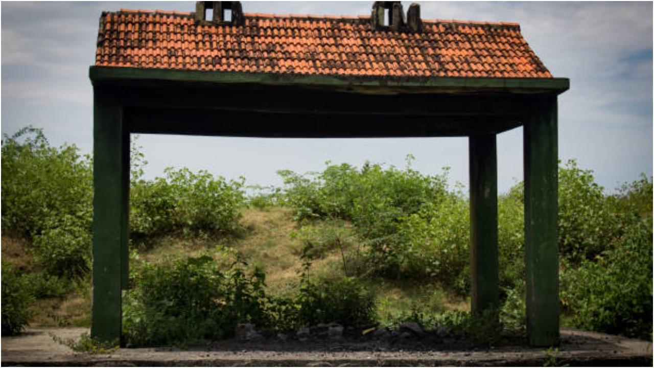 પ્રતીકાત્મક તસવીર