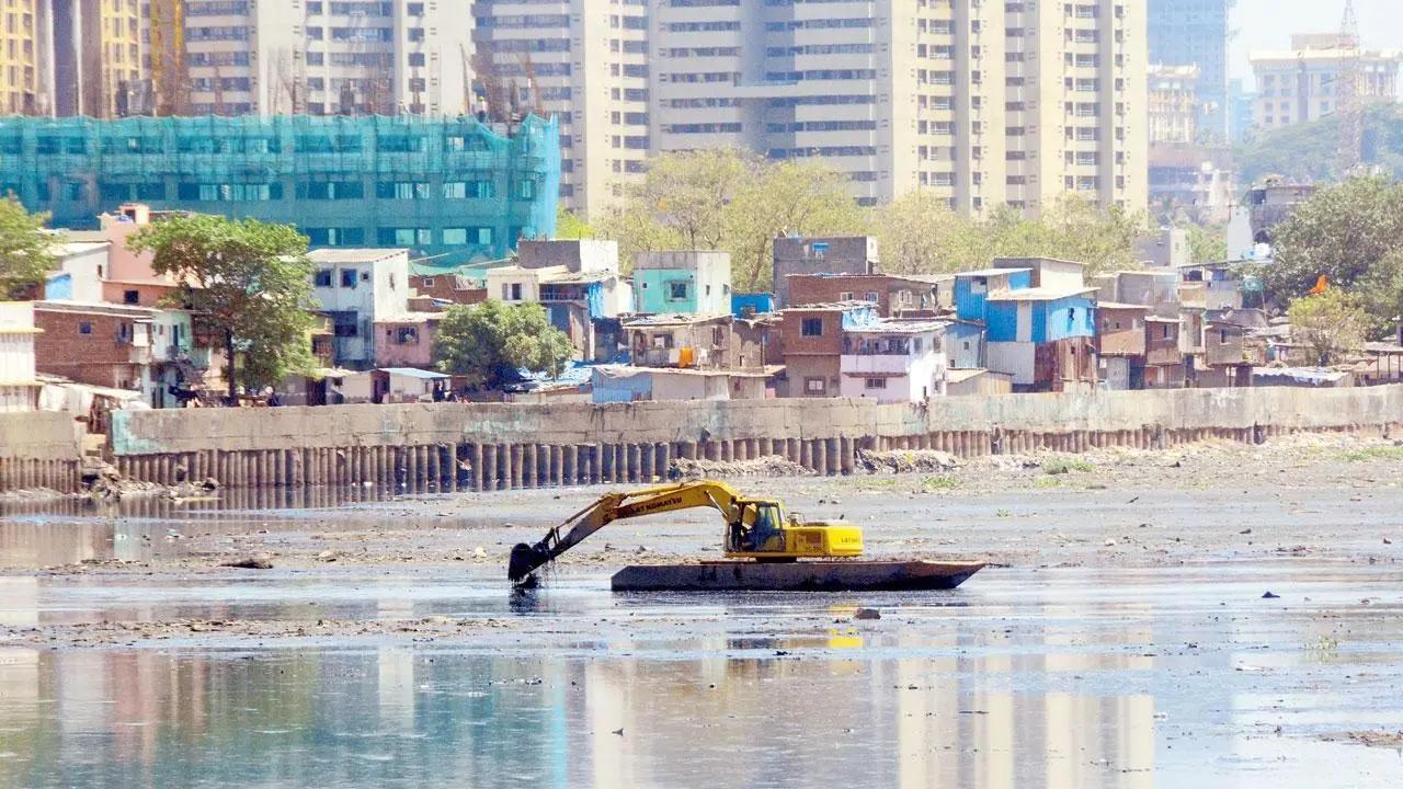 ફાઇલ તસવીર (સૌજન્ય : સતેજ શિંદે )