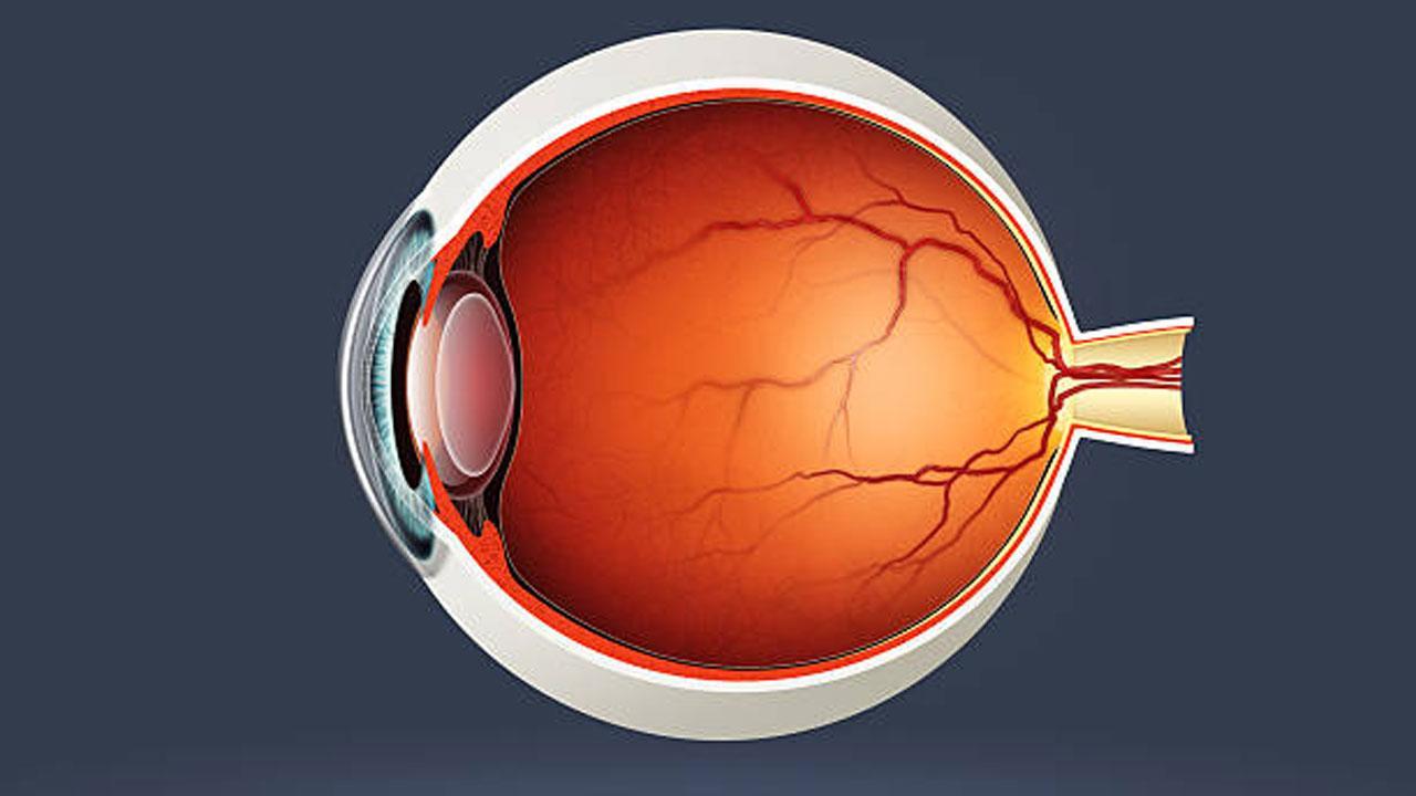 પ્રતીકાત્મક તસવીર સૌજન્ય આઇસ્ટૉક