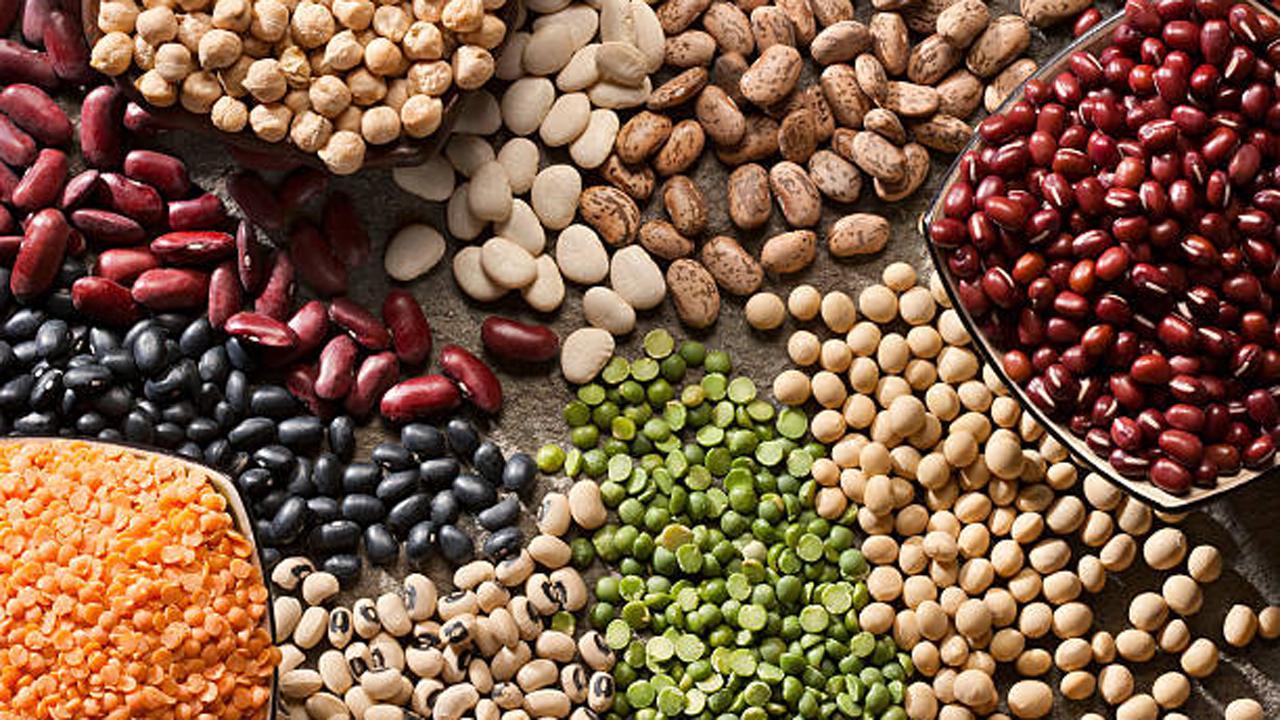 પ્રતીકાત્મક તસવીર