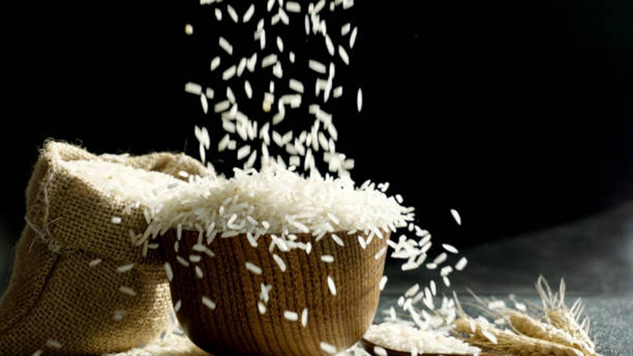 પ્રતીકાત્મક તસવીર (સૌજન્ય આઇસ્ટૉક)