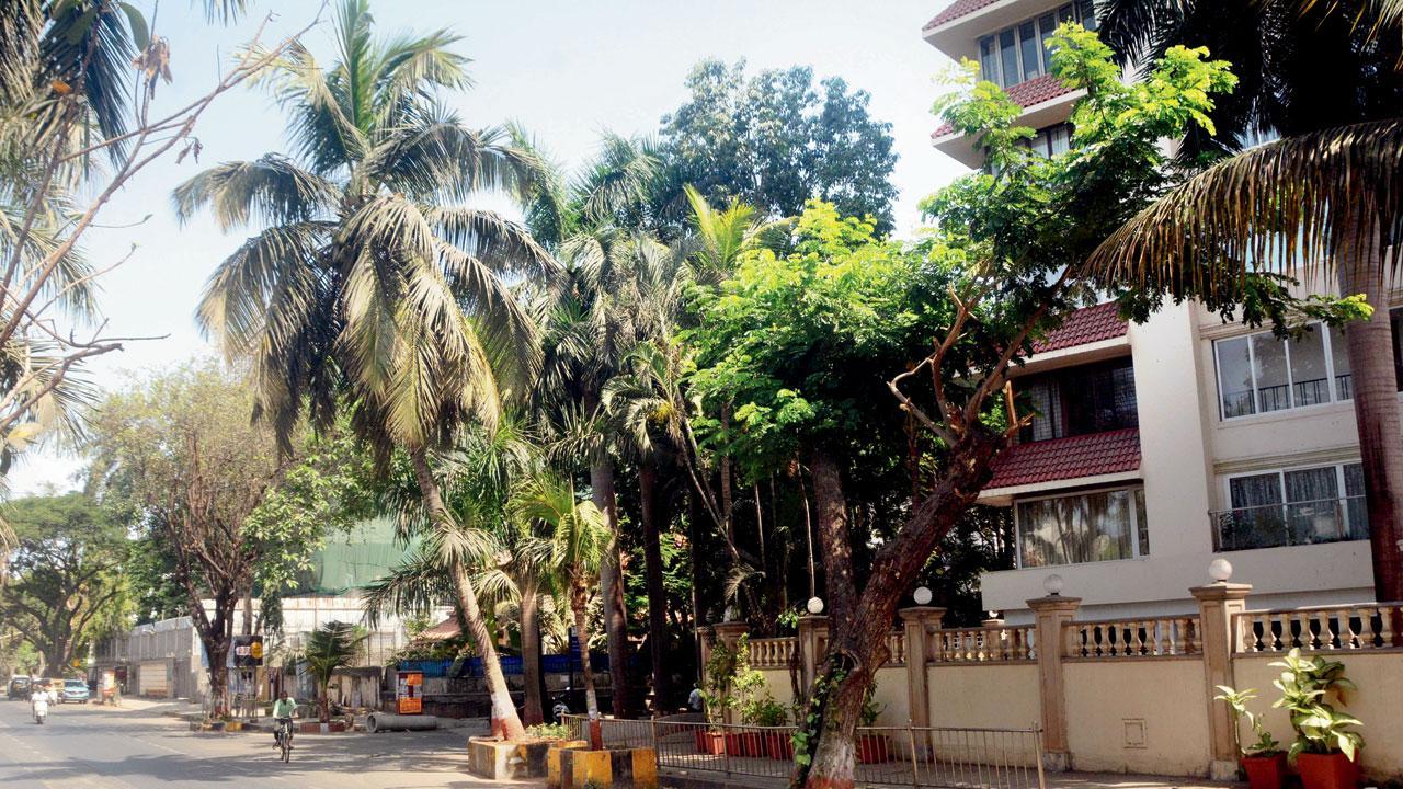 આ સોસાયટીમાં અમિતાભ બચ્ચન, કાજોલ અને અજય દેવગન જેવા ટોચના બૉલીવુડના સ્ટાર્સનાં ઘર છે (તસવીર : સતેજ શિંદે)