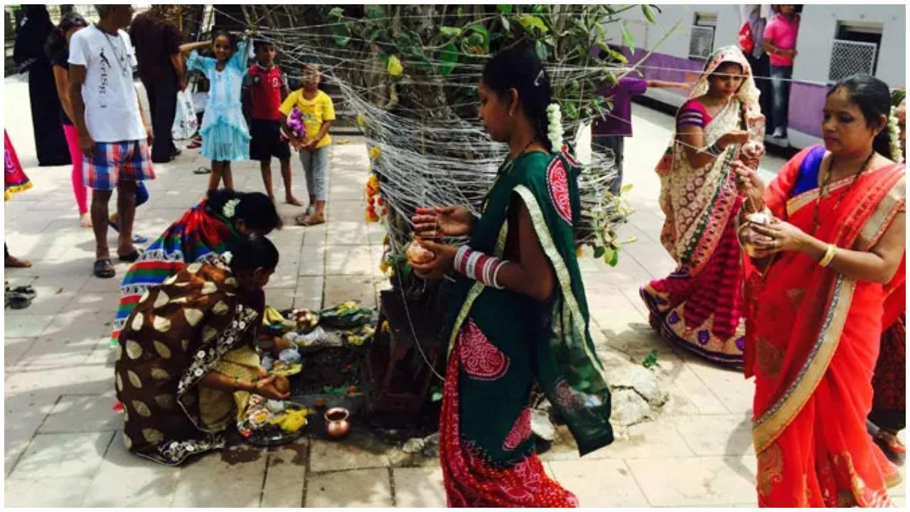 ફાઈલ ફોટો (તસવીર:અતુલ કાંબલે)