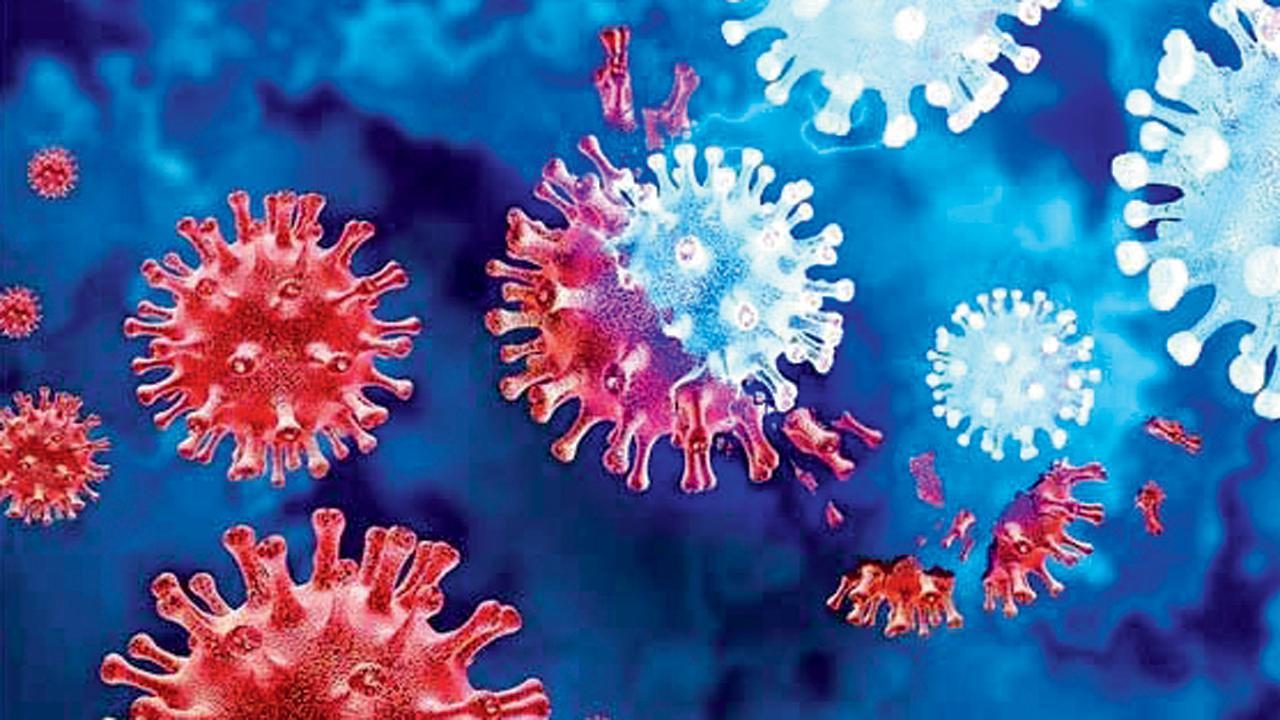 પ્રતીકાત્મક તસવીર